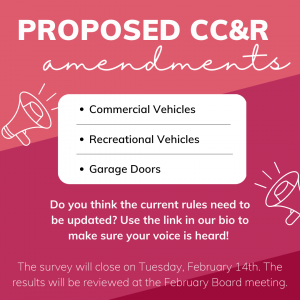 Proposed CC&R Amendments - April 20th
