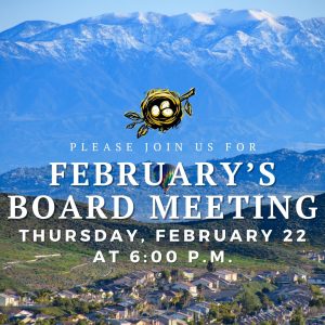 February's Board Meeting