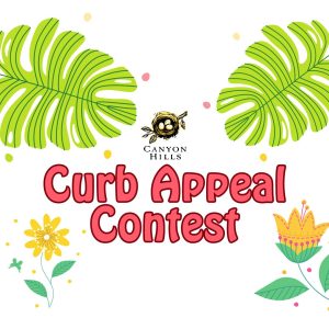 Curb Appeal Contest 2024