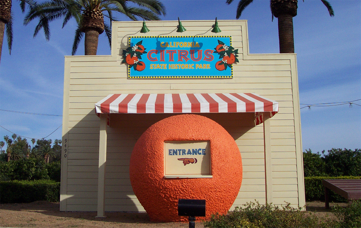 citrus-park